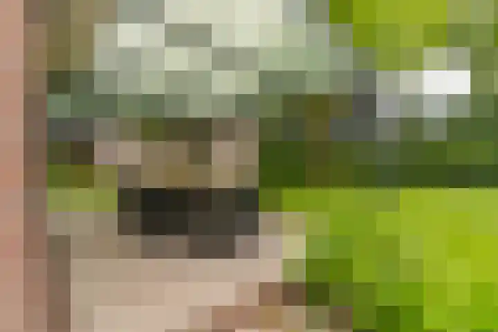 Bovenweg 7 't Harde thumbnail 81