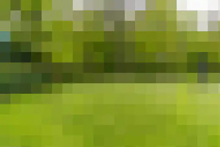 Bovenweg 7 't Harde thumbnail 83