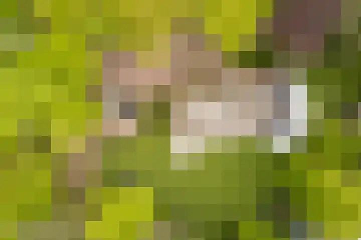 Bovenweg 7 't Harde thumbnail 85