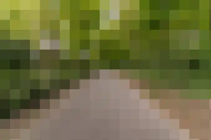 Bovenweg 7 't Harde thumbnail 87