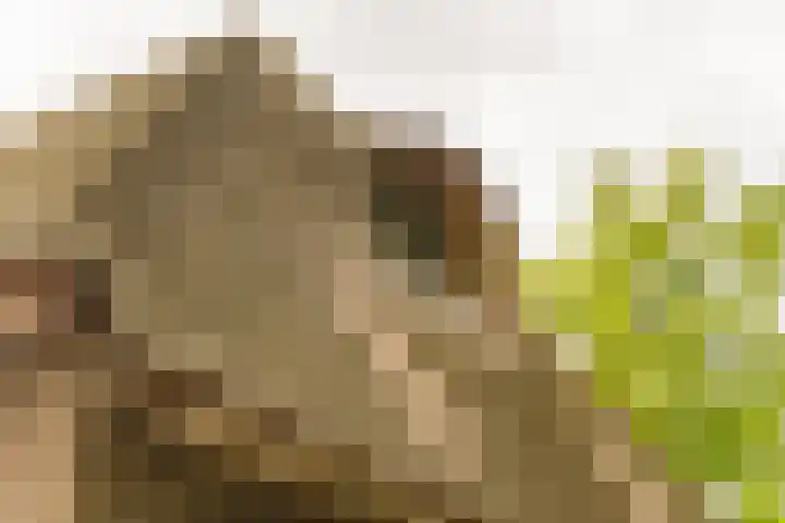 Bovenweg 7 't Harde thumbnail 9