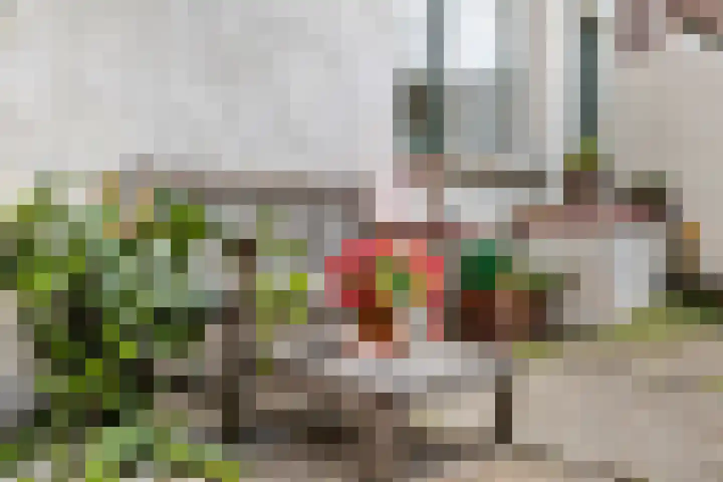Bovenweg 76 Sluiskil thumbnail 19