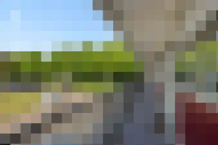 Bowierstraat 37 's-Hertogenbosch thumbnail 19