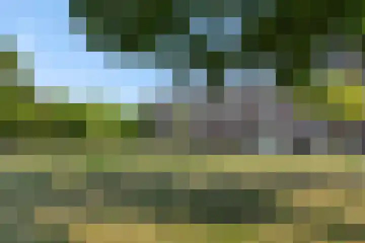 Bowierstraat 37 's-Hertogenbosch thumbnail 20