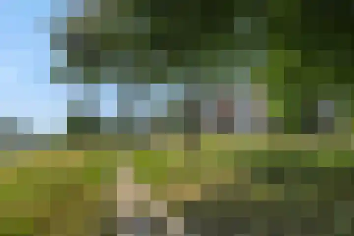 Bowierstraat 37 's-Hertogenbosch thumbnail 22