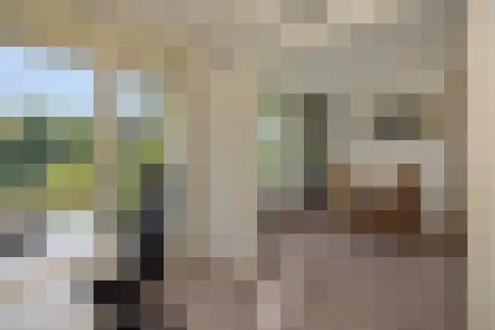 Bowierstraat 37 's-Hertogenbosch thumbnail 8