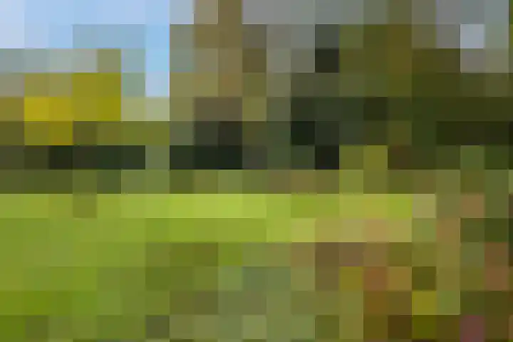 Boxtelseweg 10 A Vught thumbnail 24