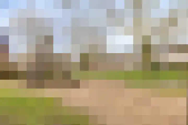 Boxtelstraat 2 Arnhem thumbnail 33