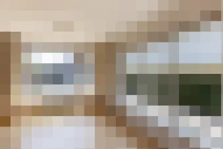 Braak 32 Neede thumbnail 10