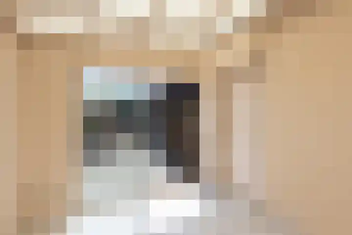 Braak 32 Neede thumbnail 11