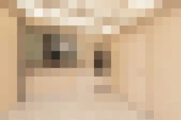 Braak 32 Neede thumbnail 12