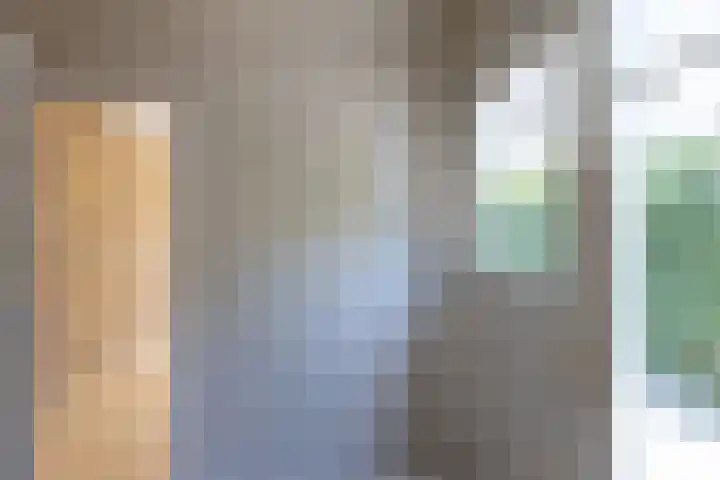 Braak 32 Neede thumbnail 14
