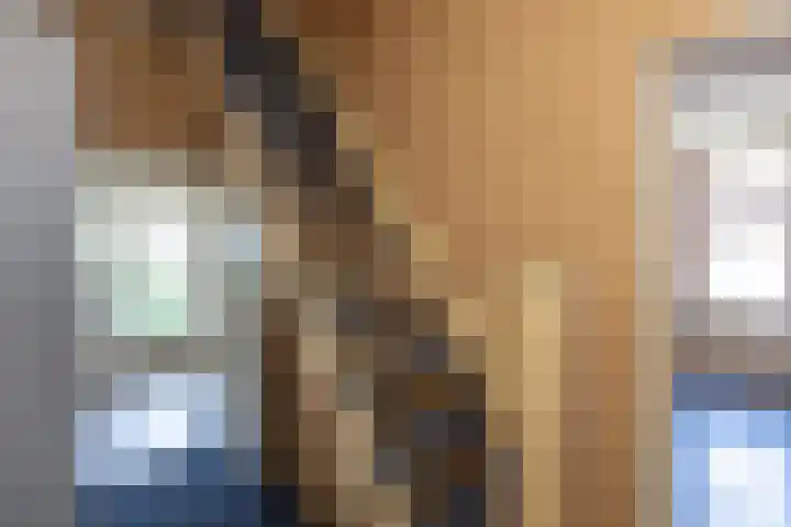 Braak 32 Neede thumbnail 18
