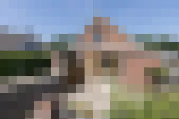 Braak 32 Neede thumbnail 23