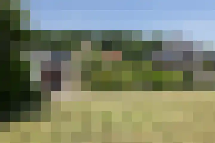 Braak 32 Neede thumbnail 24
