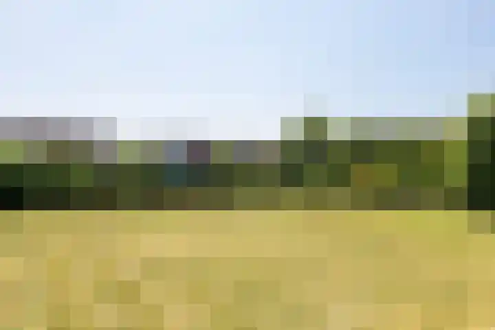 Braak 32 Neede thumbnail 25