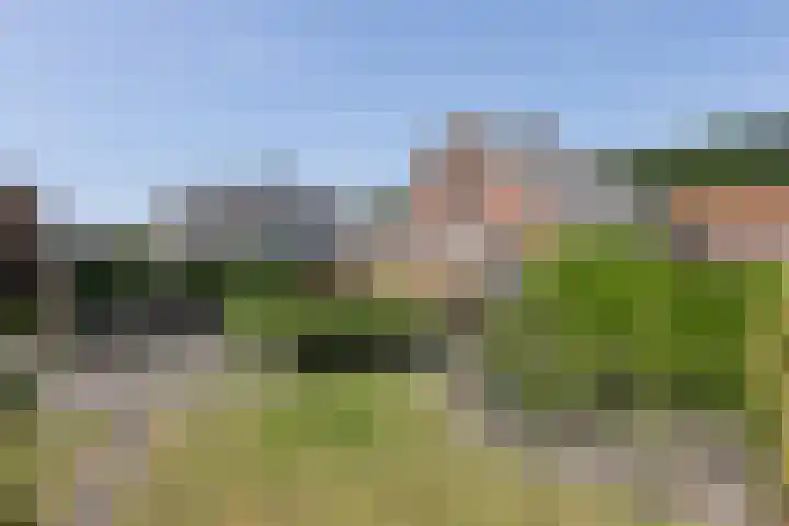 Braak 32 Neede thumbnail 26