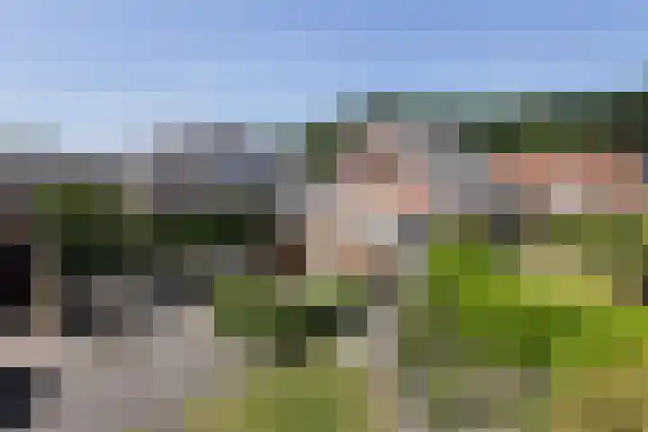 Braak 32 Neede thumbnail 27