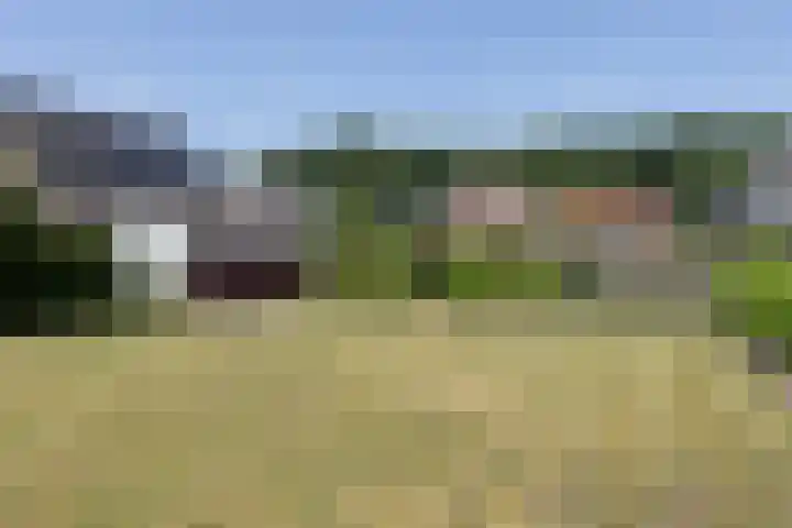 Braak 32 Neede foto 3