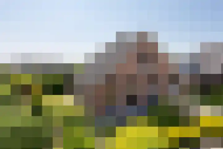 Braak 32 Neede thumbnail 30