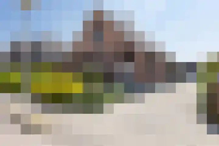 Braak 32 Neede thumbnail 32