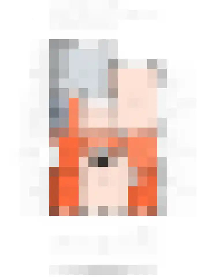 Braak 32 Neede thumbnail 35