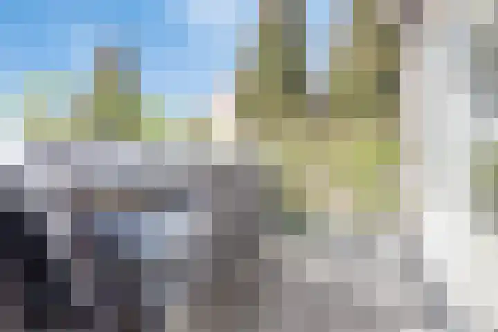Braak 67 Veldhoven thumbnail 12