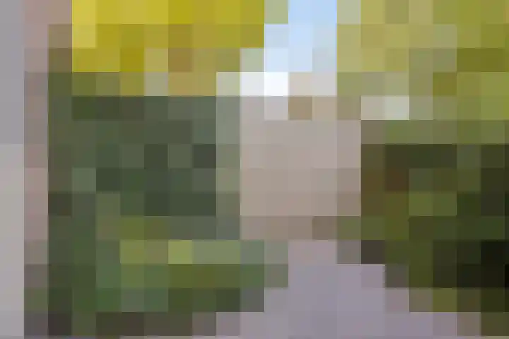 Braak 67 Veldhoven thumbnail 25