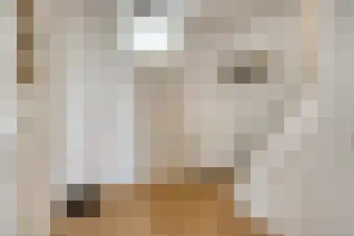 Braak 70 Veldhoven thumbnail 5