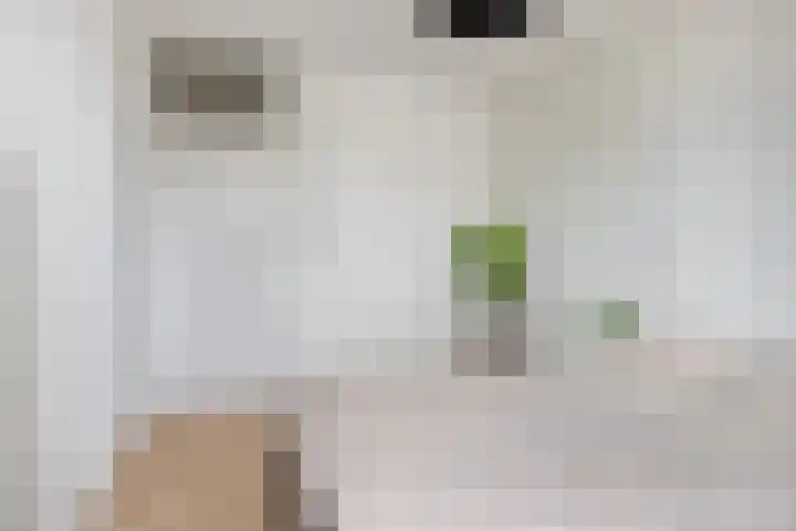 Braak 70 Veldhoven thumbnail 8