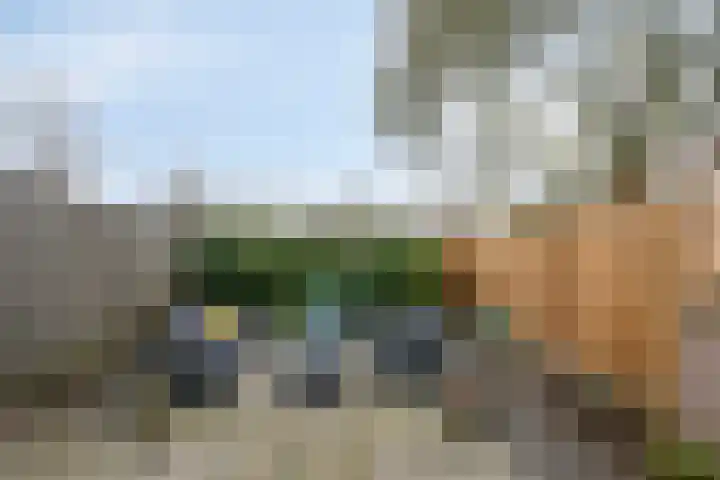 Braak 73 Veldhoven thumbnail 19