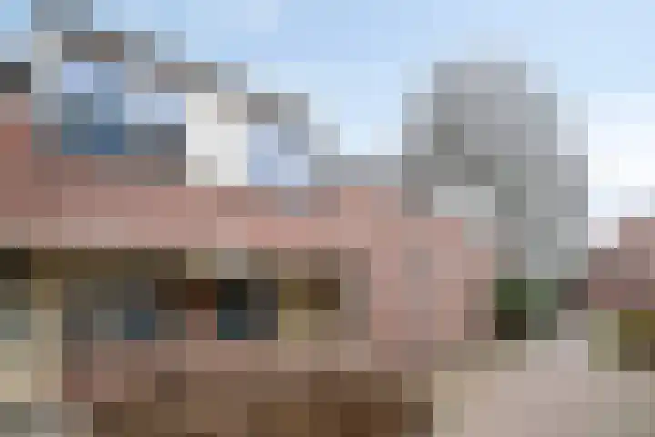 Braak 73 Veldhoven thumbnail 29