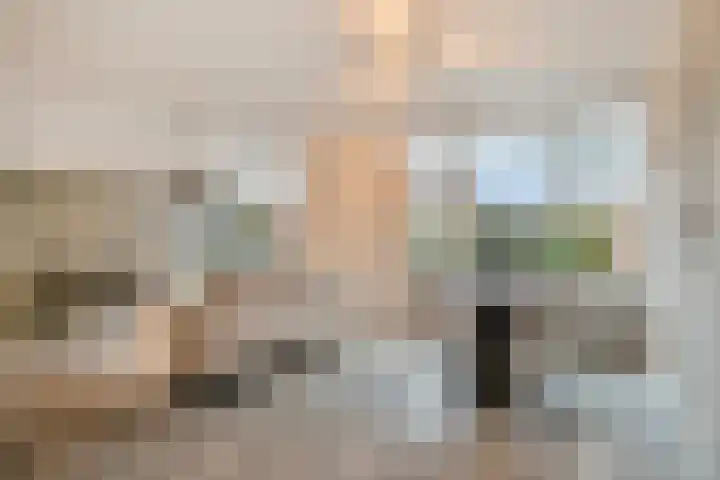 Braak 73 Veldhoven thumbnail 7
