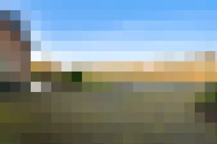 Braakpeel 5 Nederweert-Eind thumbnail 13