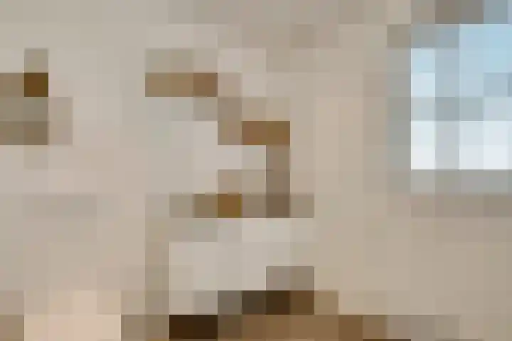 Braakpeel 5 Nederweert-Eind thumbnail 33