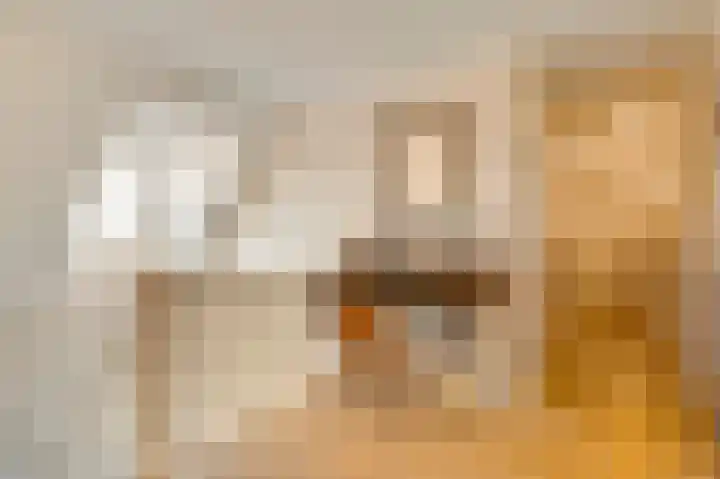 Braakpeel 5 Nederweert-Eind thumbnail 37