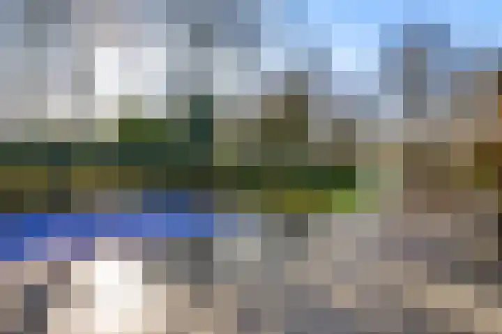 Braakpeel 5 Nederweert-Eind thumbnail 55