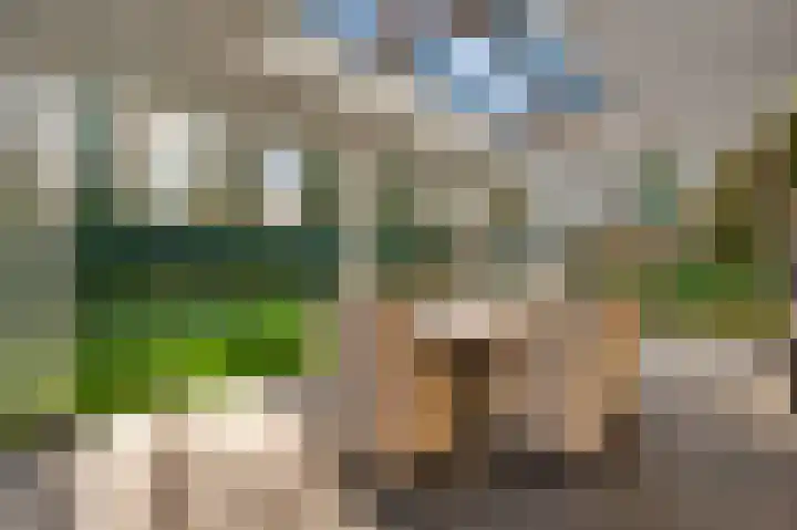 Braakpeel 5 Nederweert-Eind thumbnail 56