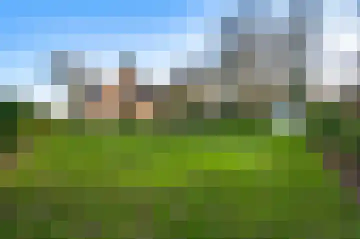 Braakpeel 5 Nederweert-Eind thumbnail 58