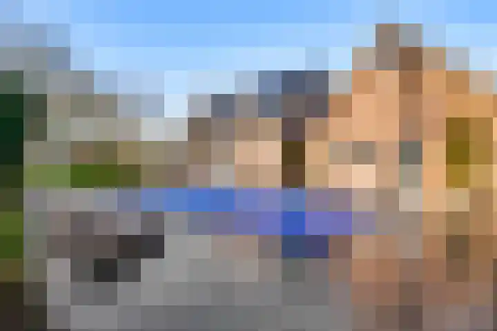 Braakpeel 5 Nederweert-Eind thumbnail 6