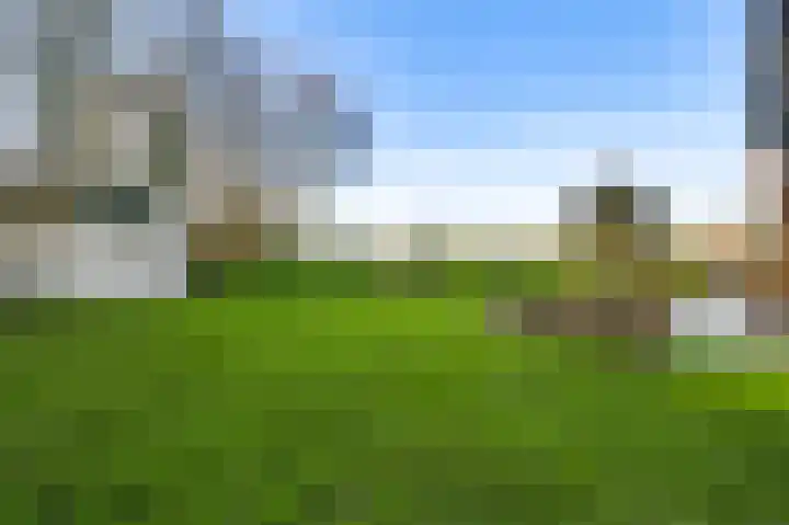 Braakpeel 5 Nederweert-Eind thumbnail 61