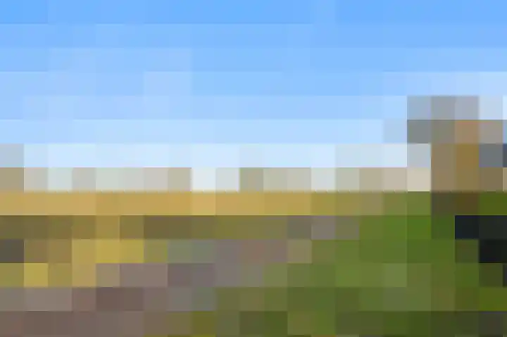 Braakpeel 5 Nederweert-Eind thumbnail 73