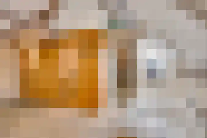 Braakpeel 5 Nederweert-Eind thumbnail 8