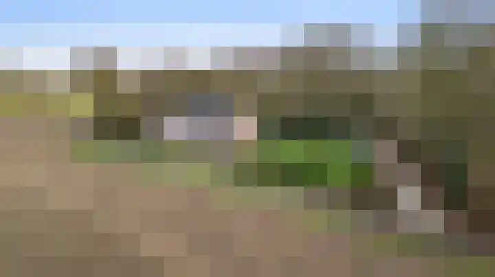 Braakpeel 5 Nederweert-Eind thumbnail 9