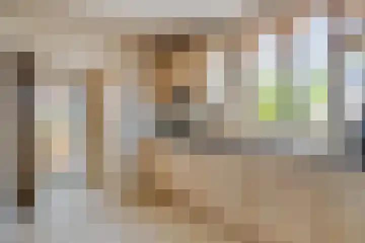 Braakstraat 104 Oss thumbnail 16