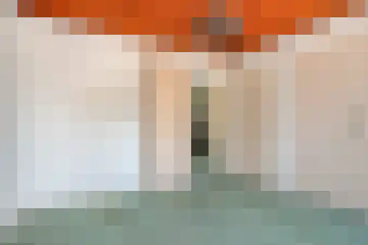 Braakstraat 104 Oss thumbnail 20
