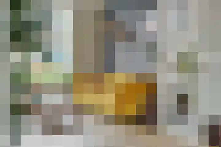 Braakstraat 111 Oss thumbnail 10