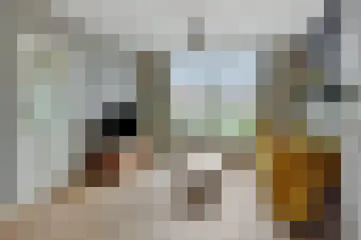 Braakstraat 111 Oss thumbnail 11