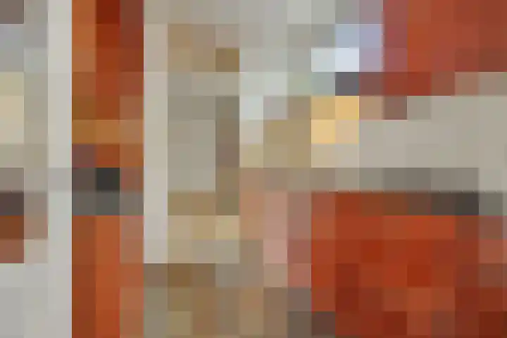 Braakstraat 111 Oss thumbnail 20
