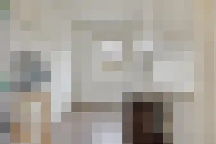 Braakstraat 111 Oss thumbnail 22